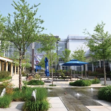 Shanghai American School campus