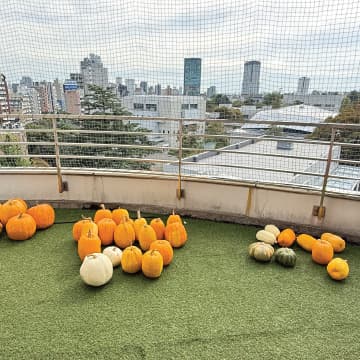 United School of Tokyo campus