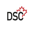 DSC International School logo