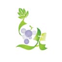 ELCHK Lutheran Academy logo