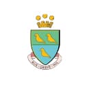 Clarence International School logo