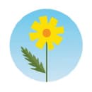 Dandelion Montessori School logo