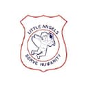 Little Angels International School logo